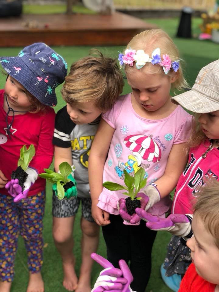 Seedlings and Kids